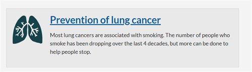 Lung cancer report 2020